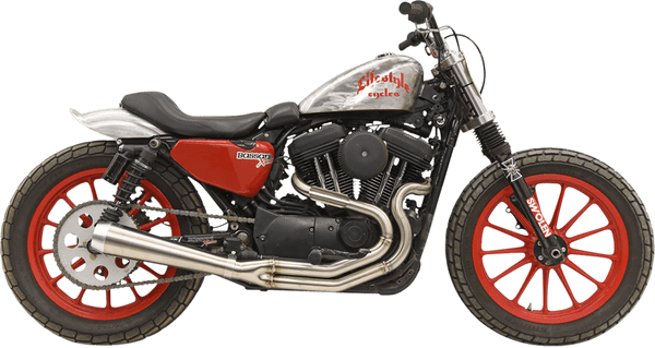 Bassani Manufacturing 1X62SS Road Rage III High-Output Exhaust 2-into-1 System - sxspowersports
