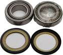 ALL BALLS 22-1005 Steering Head Bearing - sxspowersports