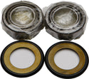 ALL BALLS 22-1006 Steering Head Bearing - sxspowersports