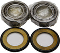 ALL BALLS 22-1006 Steering Head Bearing - sxspowersports