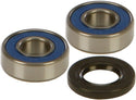 ALL BALLS 25-1038 Wheel Bearing & Seal Kit - sxspowersports
