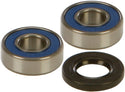 ALL BALLS 25-1038 Wheel Bearing & Seal Kit - sxspowersports