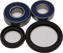 ALL BALLS 25-1061 Wheel Bearing & Seal Kit - sxspowersports