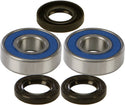 ALL BALLS 25-1219 Wheel Bearing & Seal Kit - sxspowersports