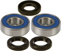ALL BALLS 25-1219 Wheel Bearing & Seal Kit - sxspowersports