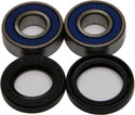 ALL BALLS 25-1221 Wheel Bearing & Seal Kit - sxspowersports
