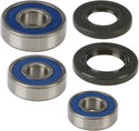 ALL BALLS 25-1245 Wheel Bearing & Seal Kit - sxspowersports