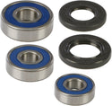 ALL BALLS 25-1245 Wheel Bearing & Seal Kit - sxspowersports