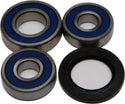 ALL BALLS 25-1287 Wheel Bearing & Seal Kit - sxspowersports