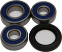 ALL BALLS 25-1287 Wheel Bearing & Seal Kit - sxspowersports