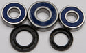 ALL BALLS 25-1355 Wheel Bearing & Seal Kit - sxspowersports