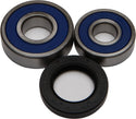 ALL BALLS 25-1361 Wheel Bearing & Seal Kit - sxspowersports