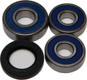 ALL BALLS 25-1362 Wheel Bearing & Seal Kit - sxspowersports