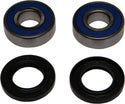ALL BALLS 25-1379 Wheel Bearing & Seal Kit - sxspowersports