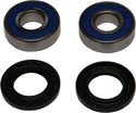 ALL BALLS 25-1379 Wheel Bearing & Seal Kit - sxspowersports