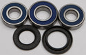 ALL BALLS 25-1386 Wheel Bearing & Seal Kit - sxspowersports