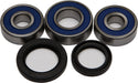 ALL BALLS 25-1388 Wheel Bearing & Seal Kit - sxspowersports