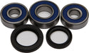 ALL BALLS 25-1388 Wheel Bearing & Seal Kit - sxspowersports