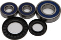 ALL BALLS 25-1393 Wheel Bearing & Seal Kit - sxspowersports