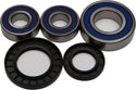 ALL BALLS 25-1393 Wheel Bearing & Seal Kit - sxspowersports