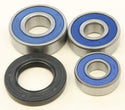 ALL BALLS 25-1487 Wheel Bearing & Seal Kit - sxspowersports