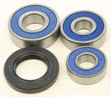 ALL BALLS 25-1487 Wheel Bearing & Seal Kit - sxspowersports
