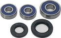 ALL BALLS 25-1546 Wheel Bearing & Seal Kit - sxspowersports