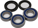ALL BALLS 25-1547 Wheel Bearing & Seal Kit - sxspowersports