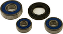 ALL BALLS 25-1551 Wheel Bearing & Seal Kit - sxspowersports