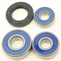 ALL BALLS 25-1607 Wheel Bearing & Seal Kit - sxspowersports
