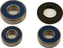 ALL BALLS 25-1610 Wheel Bearing & Seal Kit - sxspowersports