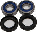 ALL BALLS 25-1653 Wheel Bearing & Seal Kit - sxspowersports