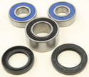 ALL BALLS 25-1658 Wheel Bearing & Seal Kit - sxspowersports