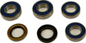 ALL BALLS 25-1673 Wheel Bearing & Seal Kit - sxspowersports