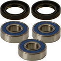 ALL BALLS 25-1677 Wheel Bearing & Seal Kit - sxspowersports