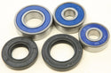 ALL BALLS 25-1735 Wheel Bearing & Seal Kit - sxspowersports