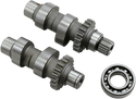 Andrews 288121 TW21 Chain Drive Camshafts - sxspowersports