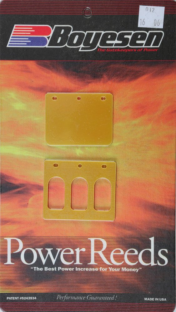 BOYESEN 12 Power Reeds - sxspowersports