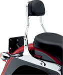 Cobra 602-1200 Sissy Bar - Short - sxspowersports