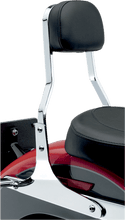 Cobra 602-1200 Sissy Bar - Short - sxspowersports