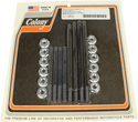 Colony 9884-20 Engine Case Stud Kit - sxspowersports