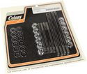 Colony 9884-20 Engine Case Stud Kit - sxspowersports