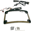 Custom Dynamics TF05-BCM4-B Radius License Plate Frame - Gloss Black - sxspowersports