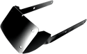 Cycle Visions CV4654MT Curved License Plate Mount - sxspowersports