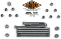 Diamond Engineering PB517S Crankcase12-Point Polished Stainless Engine Bolt KIt - sxspowersports
