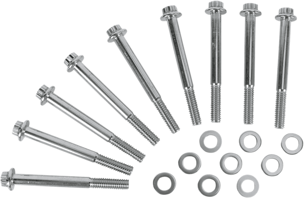 Diamond Engineering PB517S Crankcase12-Point Polished Stainless Engine Bolt KIt - sxspowersports