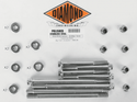 Diamond Engineering PB518S Crankcase 12-Point Polished Stainless Engine Bolt Kit - sxspowersports