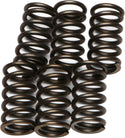 EBC CSK10 Redline Clutch Springs - sxspowersports