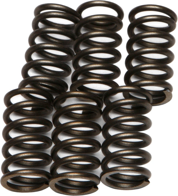 EBC CSK10 Redline Clutch Springs - sxspowersports