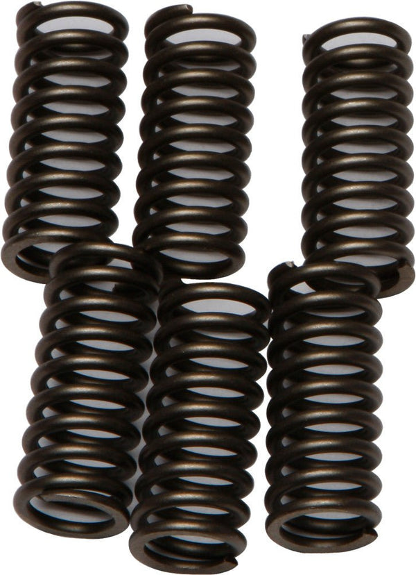 EBC CSK102 Redline Clutch Springs - sxspowersports